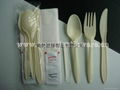 Promotional Price Corn starch Biodegradable Tableware