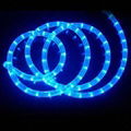 LED rope light( 2 wires round ) 1