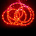 LED rope light( 2 wires round ) 3