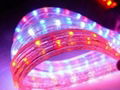 LED rope light( 4 wires flat) 1