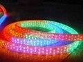 LED rope light( 5 wires flat)