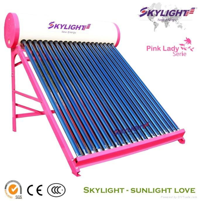 Vacuum Tube Solar Water Heater 4