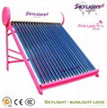 Vacuum Tube Solar Water Heater 4