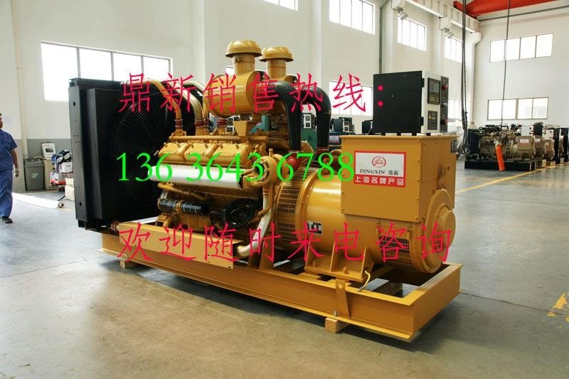 Shanghai Diesel Generator Set 400KW 