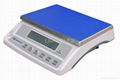 Electronic Weighing Scale