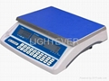 Electronic Counting PCS  Scale 1