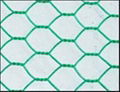 Hexagonal Wire Netting