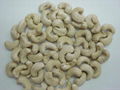 The pistachios import clearance 5