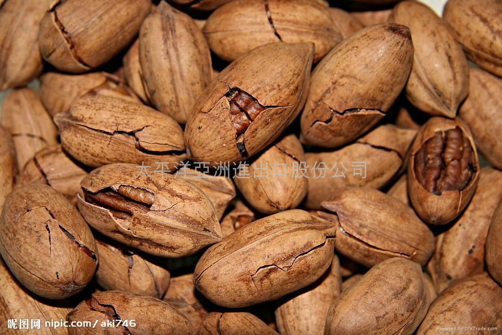 Walnut import clearance 4