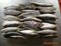 Frozen fish import clearance 4