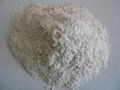  Bentonite 1