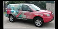 vehicle wrap 5