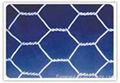 hexagonal mesh