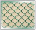 Chain Link Fence 2