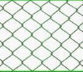 Chain Link Fence 3