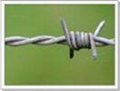 BARBED IRON WIRE 4