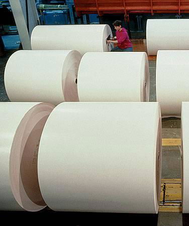 offset printing paper