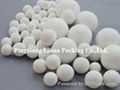 Inert Alumina Ceramic Ball 1