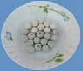 Inert Alumina Ceramic Ball 4