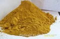 iron oxide yellow 313 1