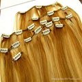 Clips in hair extension 1