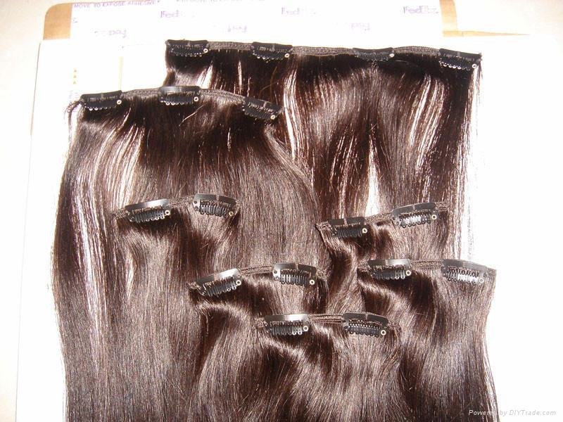 Clips in hair extension 2