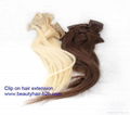 Clips in hair extension 3