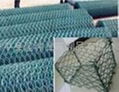 Hexagonal wire netting