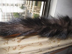 fisher tail
