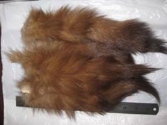 baum marten tail