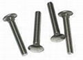 carriage bolts