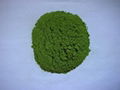 dehydrated spinach powder 1