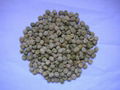 dehydrated lentil 1