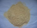 dehydrated onion powder