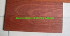 sapele engineered flooring