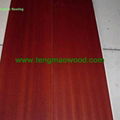 sapele engineered flooring