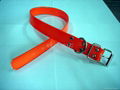 PVC pet collar  2