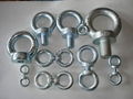 eye bolts eye nuts  DIN 580  DIN582 1