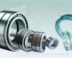 INA SL045040-PP cylindrical roller bearings