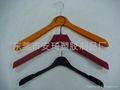 Plastic Hangers 2