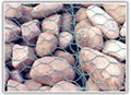 hexagonal wire mesh 1