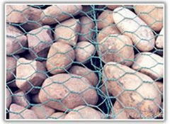 hexagonal wire mesh