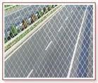 PVC coated welded wire mesh 4