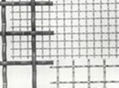 crimped wire mesh 5