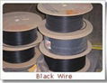 Black Wire  1