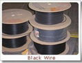 Black Wire 