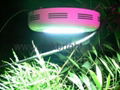 LED Grow Light (90W) 5