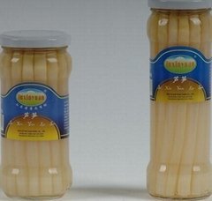 canned white asparagus 