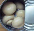 canned mushroom