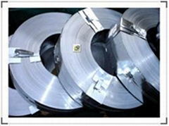 hot galvanized steel strip/coil